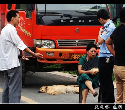 �鿴���ྫ�ʈDƬ