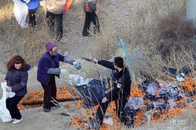 甘肅回應(yīng)警察拔槍阻搶橘子:彈藥只有驅(qū)散功能