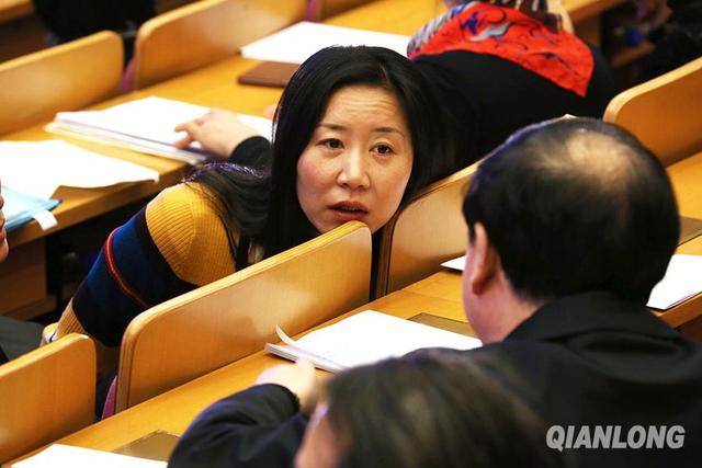 2015�����ɕ�(hu��)����(hu��)�h���顱�D��־(�M�D)