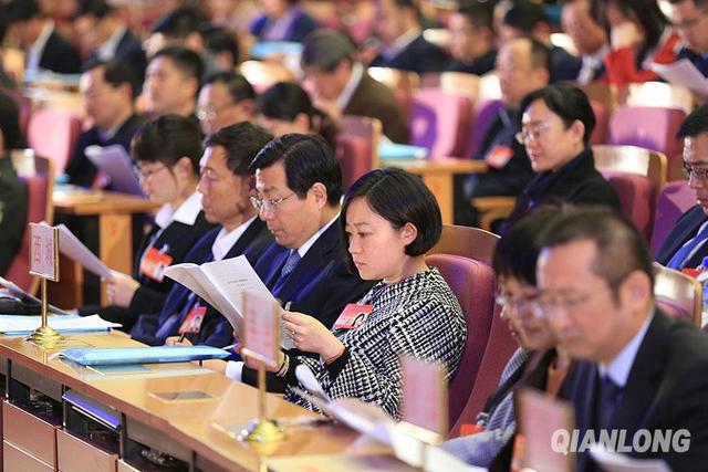 2015�����ɕ�(hu��)����(hu��)�h���顱�D��־(�M�D)