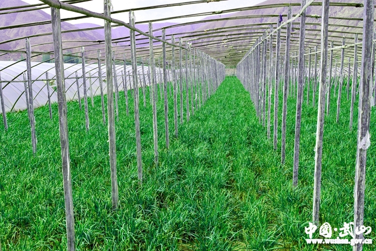 點(diǎn)擊查看大圖