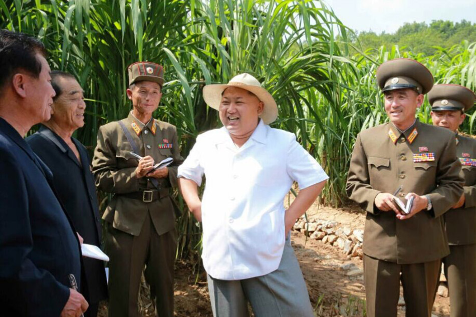 ������ҕ��N���о��r(n��ng)��(ch��ng)���W(w��ng)�(y��)�؈D��