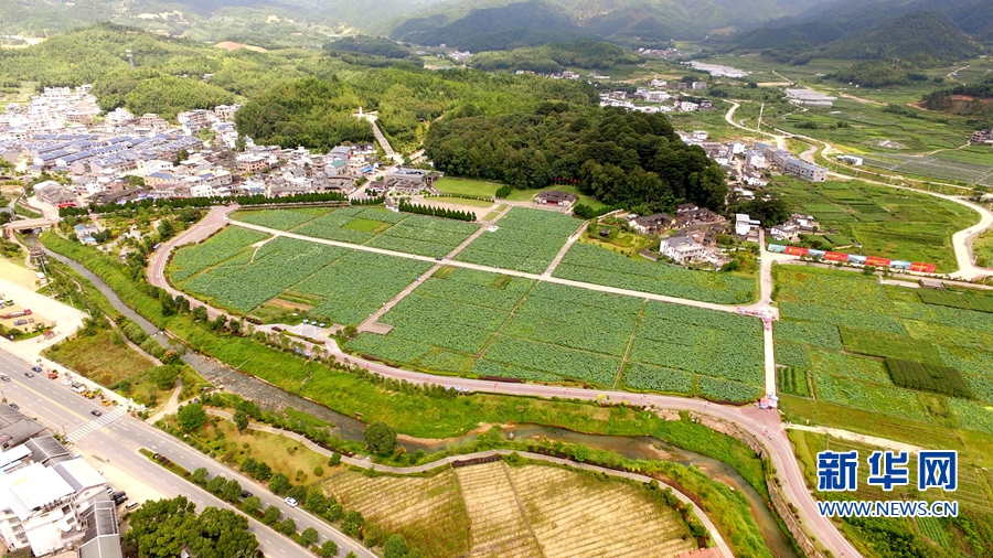 �����Ϻ������(zh��n)��һ��һ�����L(f��ng)�� ���ƴ�����ƴ���