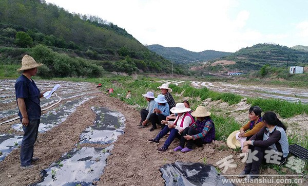 ���v��Ƭ1 - ����.jpg