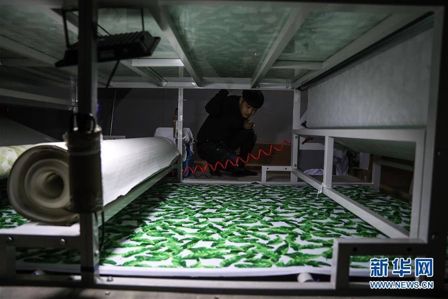 �����Aȫý�^�l���D�Ļ���(d��ng)����6����ǧ��ųǵ����HӾ�b֮���������|�����J�u��Ρ��߲��D(zhu��n)����